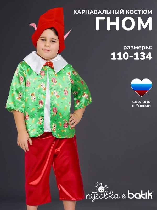 Костюм Гном Вася