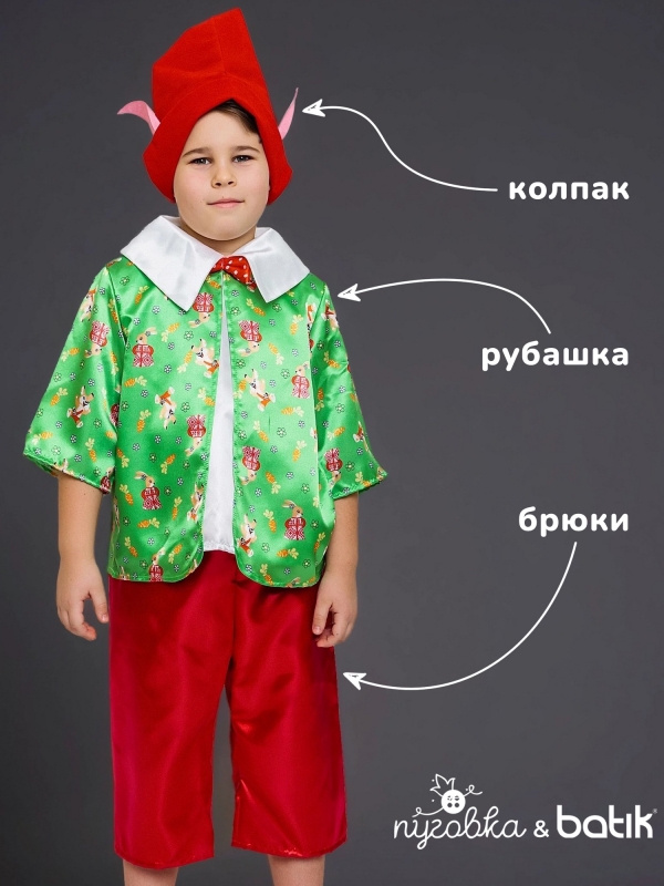 Костюм Гном Вася