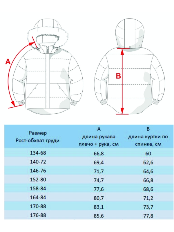 Ветровка для мальчика Курт